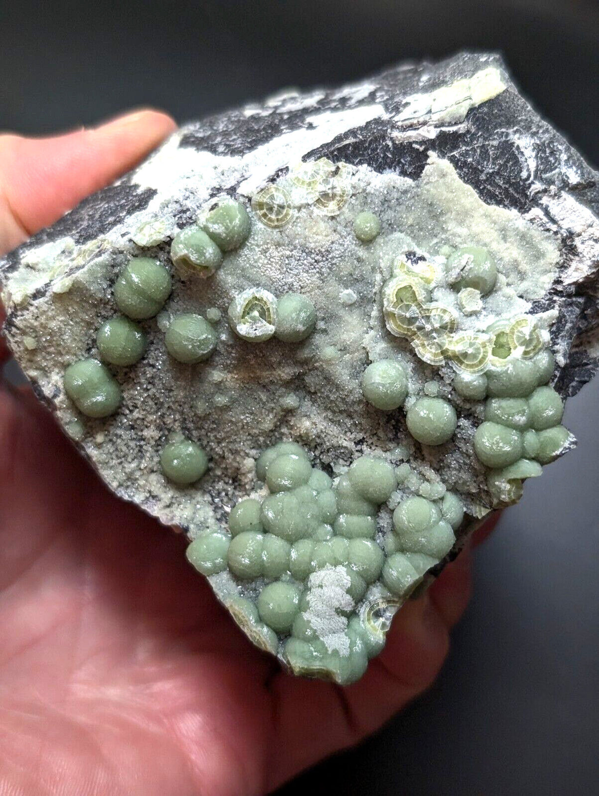 A hand holds a dark, rough-textured rock specimen featuring clusters of smooth, light green spherical formations with some translucent yellowish patches.
