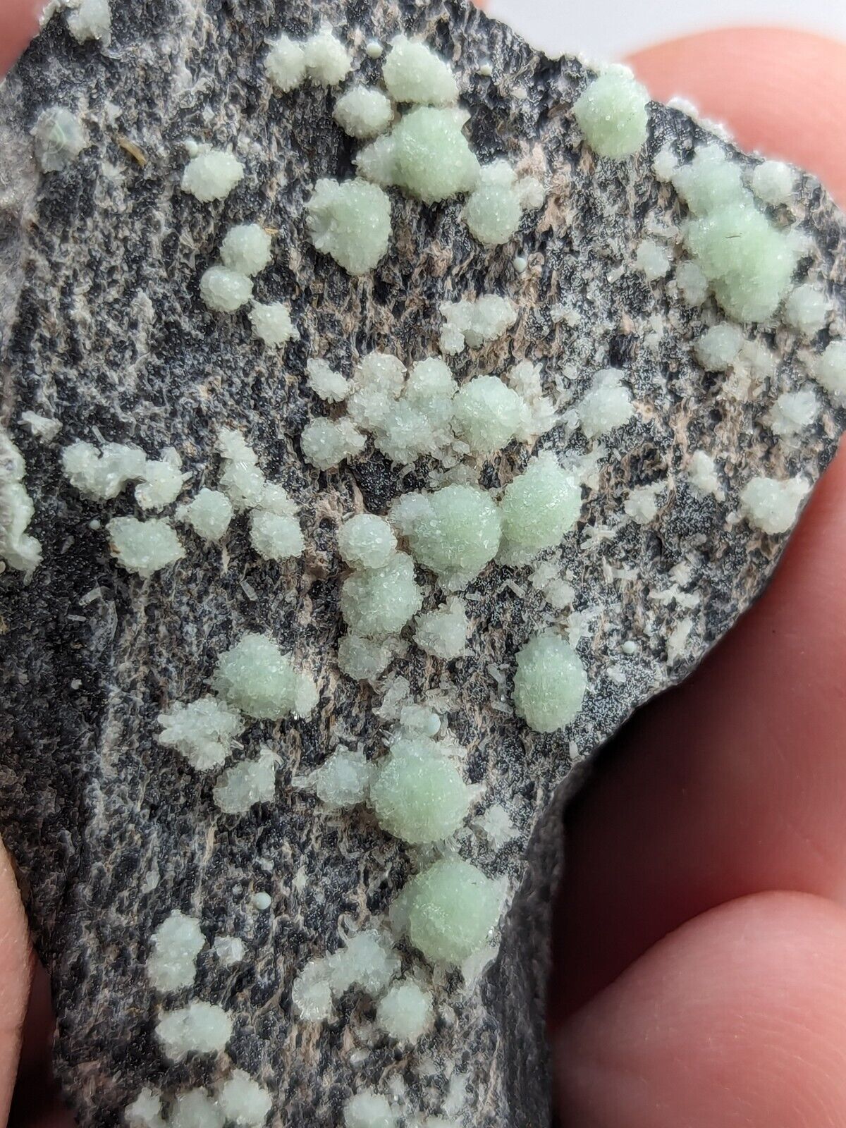 Wavellite -Old Stock - Mauldin Mountain Arkansas - Collectibles:Rocks Fossils & Minerals:Crystals Mineral