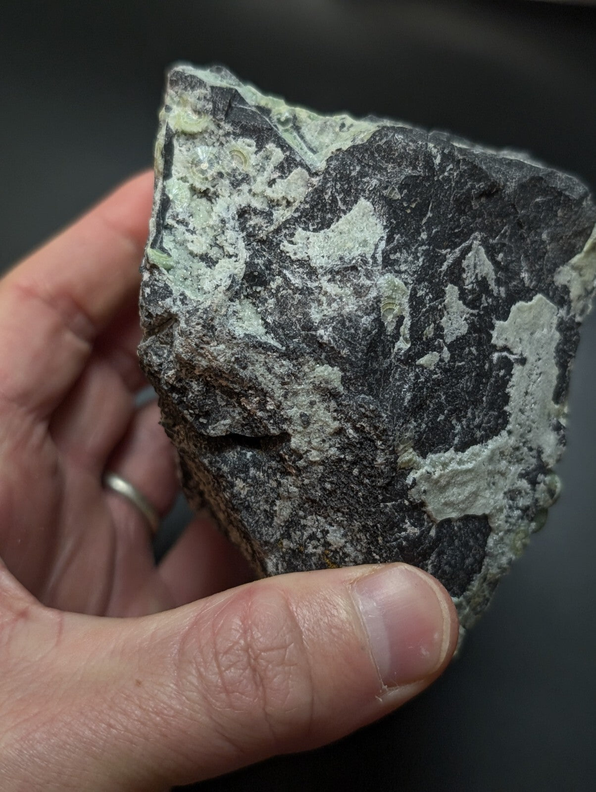 A rugged, irregularly shaped rock with a dark gray base and patches of light greenish-white mineral veining.