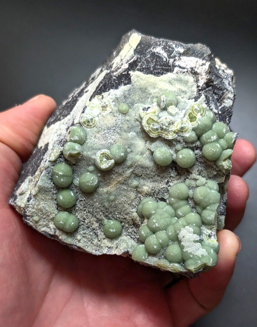 A hand holds a dark gray rock specimen featuring clusters of smooth, light green spherical formations with some exhibiting translucent, honeycomb-like interiors.