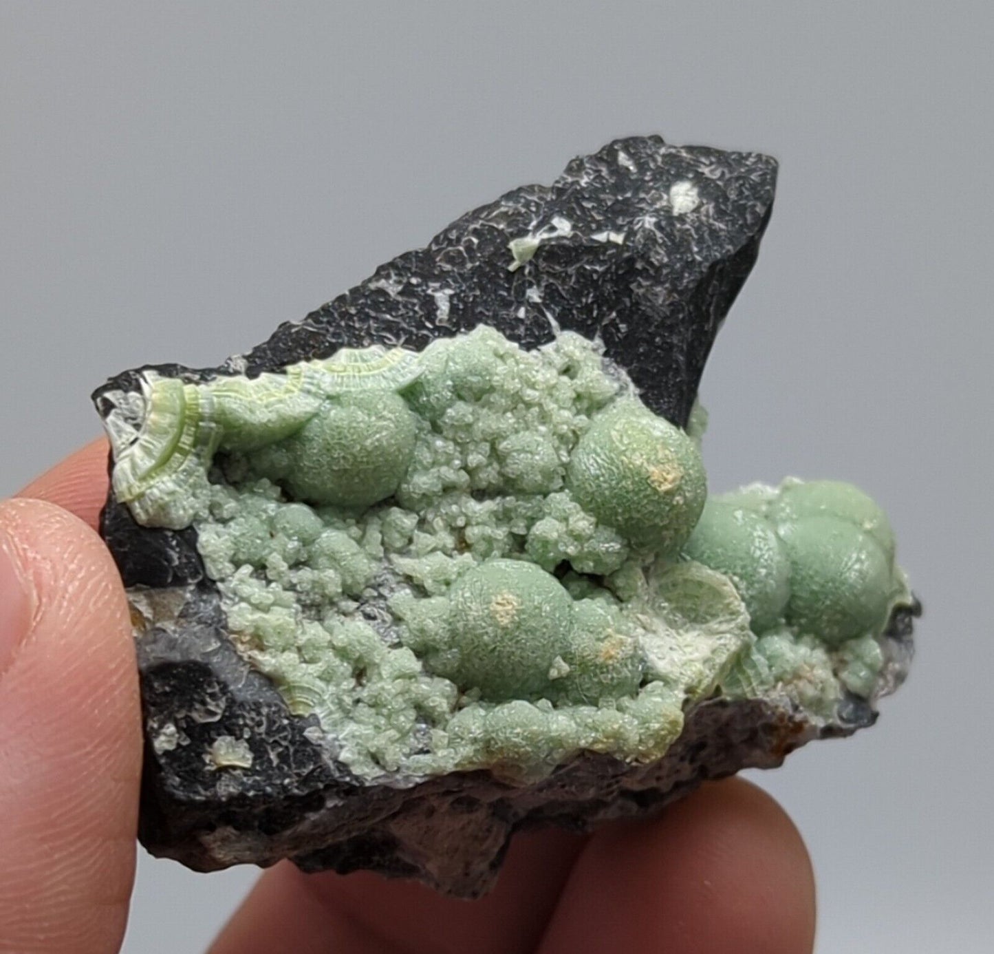 Wavellite -Old Stock - Mauldin Mountain Arkansas - Collectibles:Rocks Fossils & Minerals:Crystals Mineral
