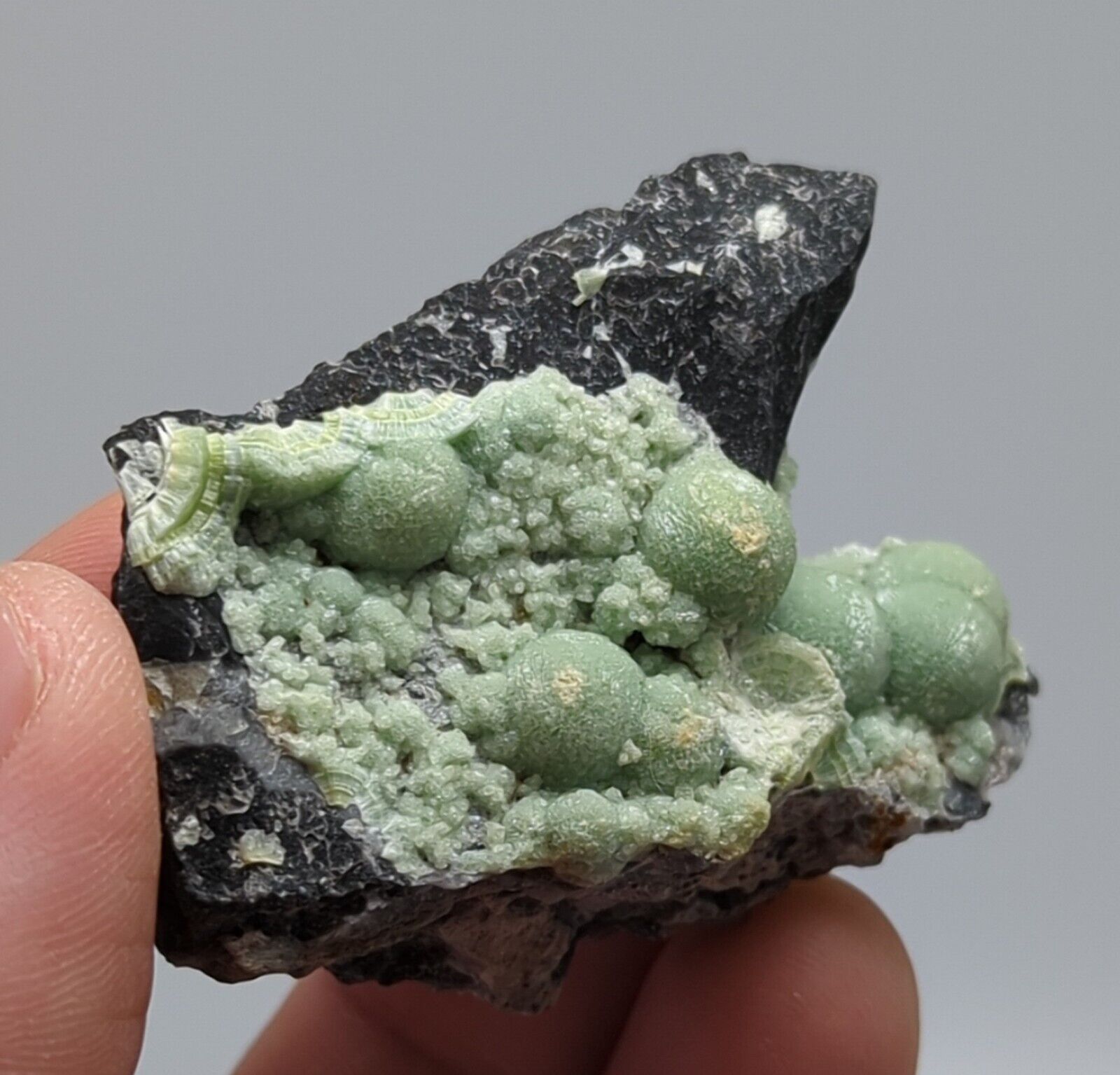 Wavellite -Old Stock - Mauldin Mountain Arkansas - Collectibles:Rocks Fossils & Minerals:Crystals Mineral