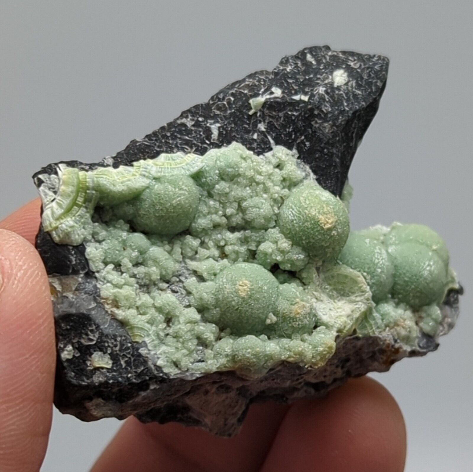 Wavellite -Old Stock - Mauldin Mountain Arkansas - Collectibles:Rocks Fossils & Minerals:Crystals Mineral
