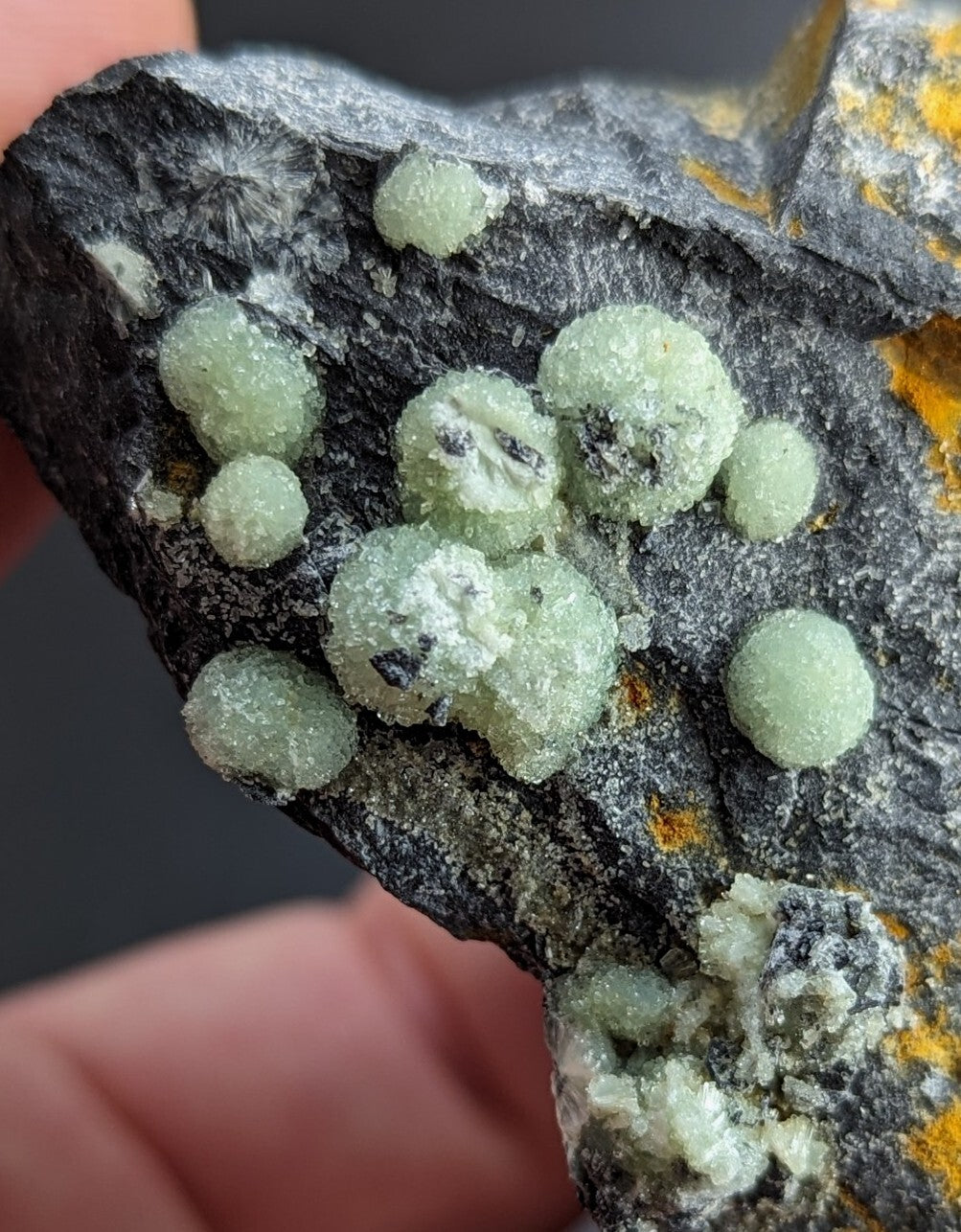A dark gray rock specimen featuring clusters of translucent, light green spherical crystals with a crystalline texture and subtle yellow mineral inclusions.