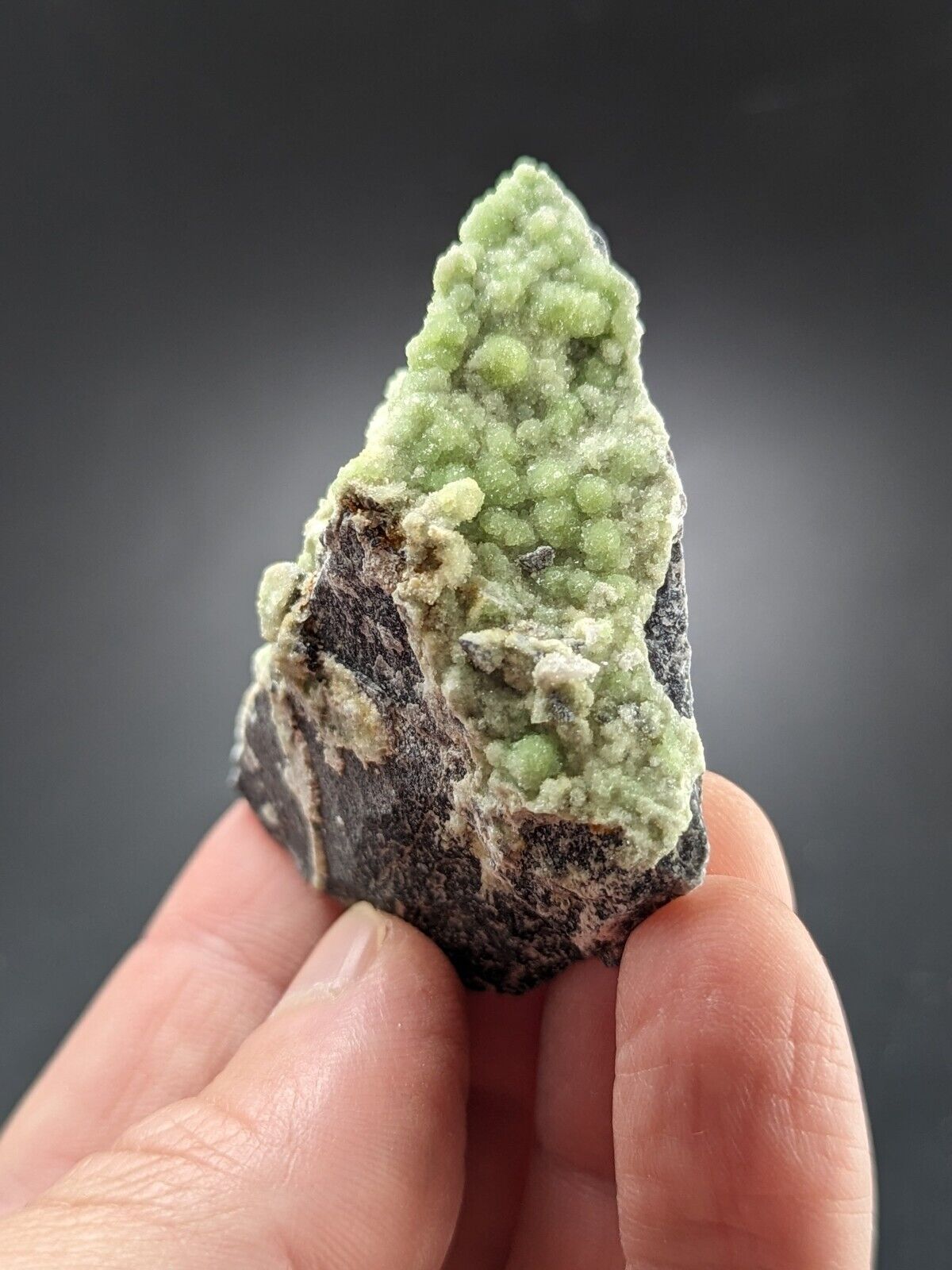Wavellite -Old Stock - Mauldin Mountain Arkansas - Great Crystallization - Collectibles:Rocks Fossils &