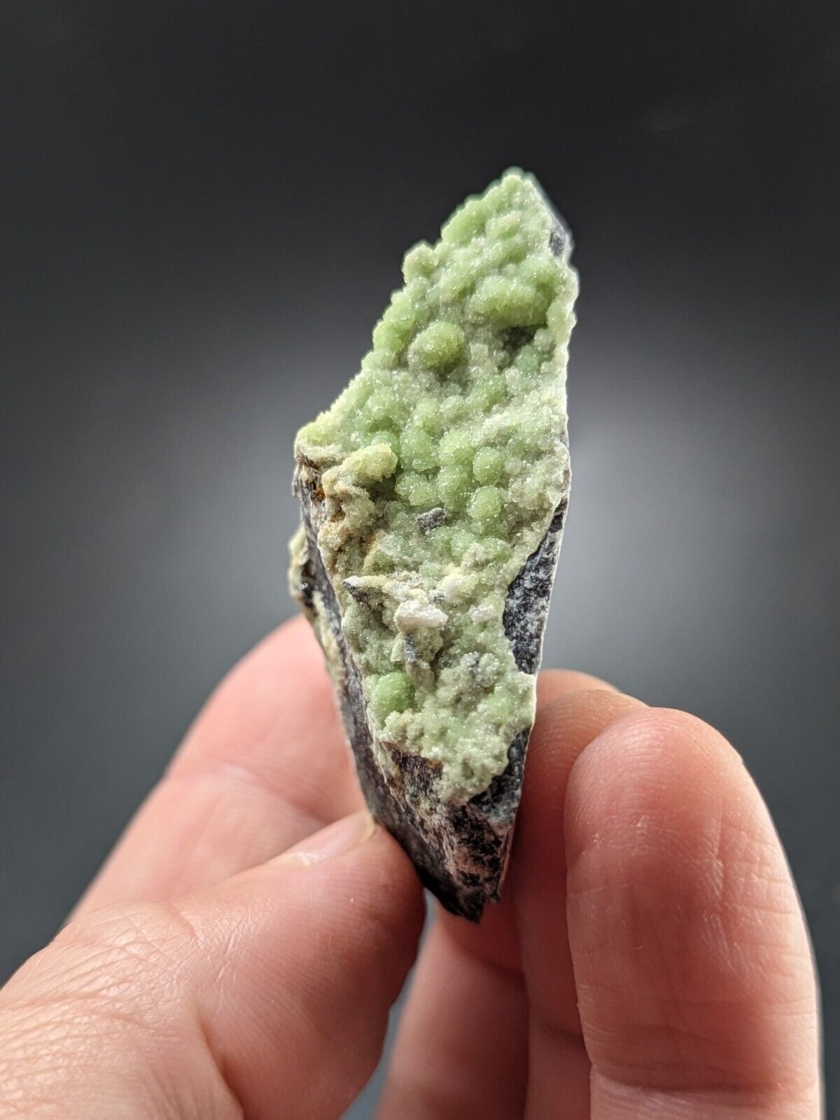 Wavellite -Old Stock - Mauldin Mountain Arkansas - Great Crystallization - Collectibles:Rocks Fossils &
