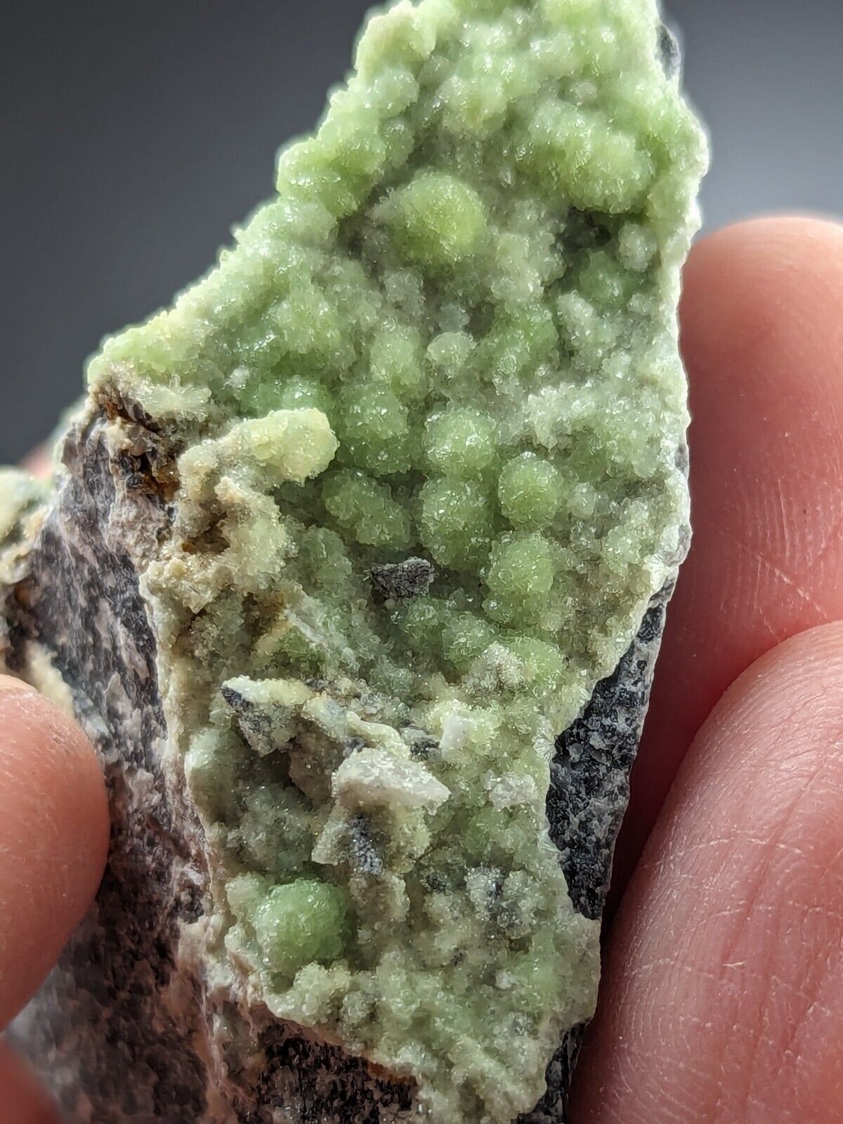 Wavellite -Old Stock - Mauldin Mountain Arkansas - Great Crystallization - Collectibles:Rocks Fossils &