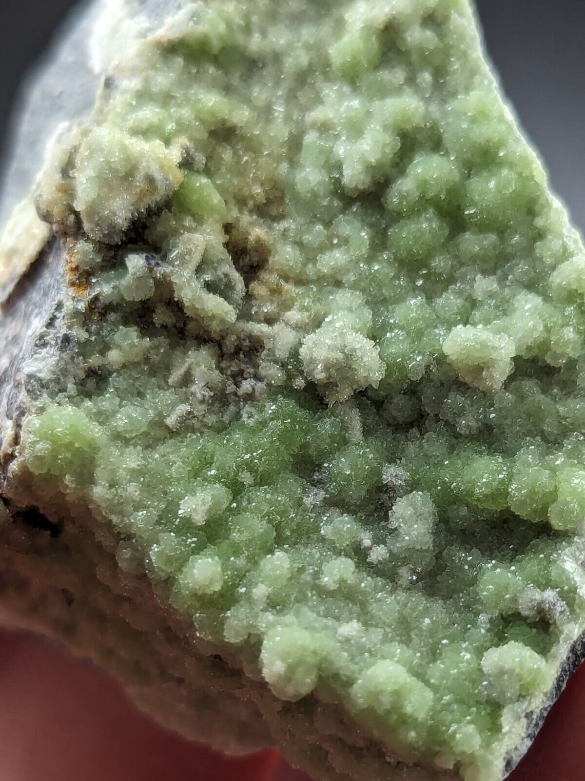 Wavellite -Old Stock - Mauldin Mountain Arkansas - Great Crystallization - Collectibles:Rocks Fossils &