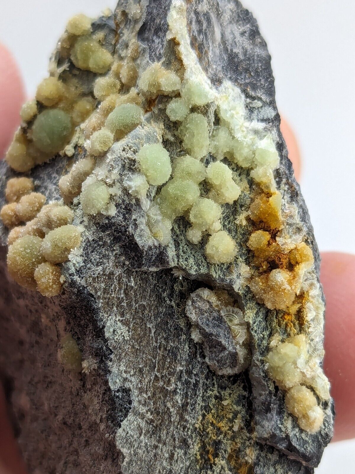 Wavellite -Old Stock - Mauldin Mountain Arkansas Great Aesthetics - Collectibles:Rocks Fossils & Minerals:Crystals