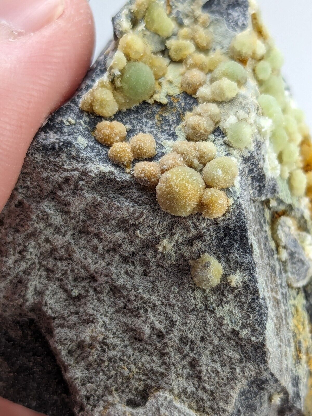 Wavellite -Old Stock - Mauldin Mountain Arkansas Great Aesthetics - Collectibles:Rocks Fossils & Minerals:Crystals