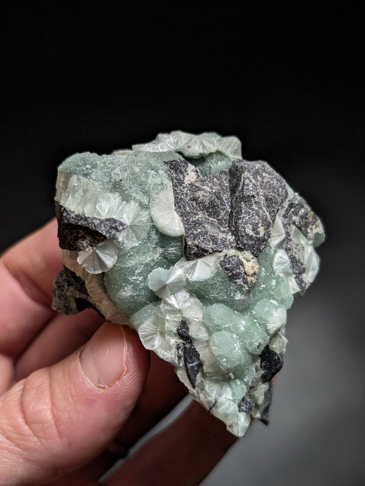 A hand holds a rough, irregularly shaped mineral specimen featuring translucent light green crystals with fan-like facets growing from dark gray and black matrix rock.