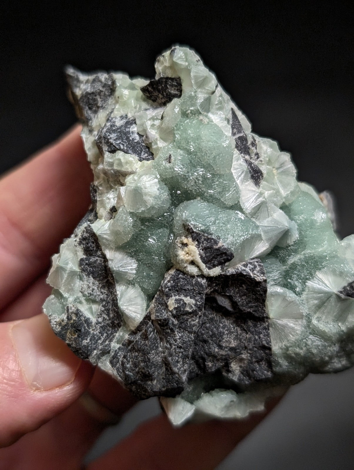 A hand holds a striking green fluorite crystal cluster with sharp, translucent facets and dark matrix rock.