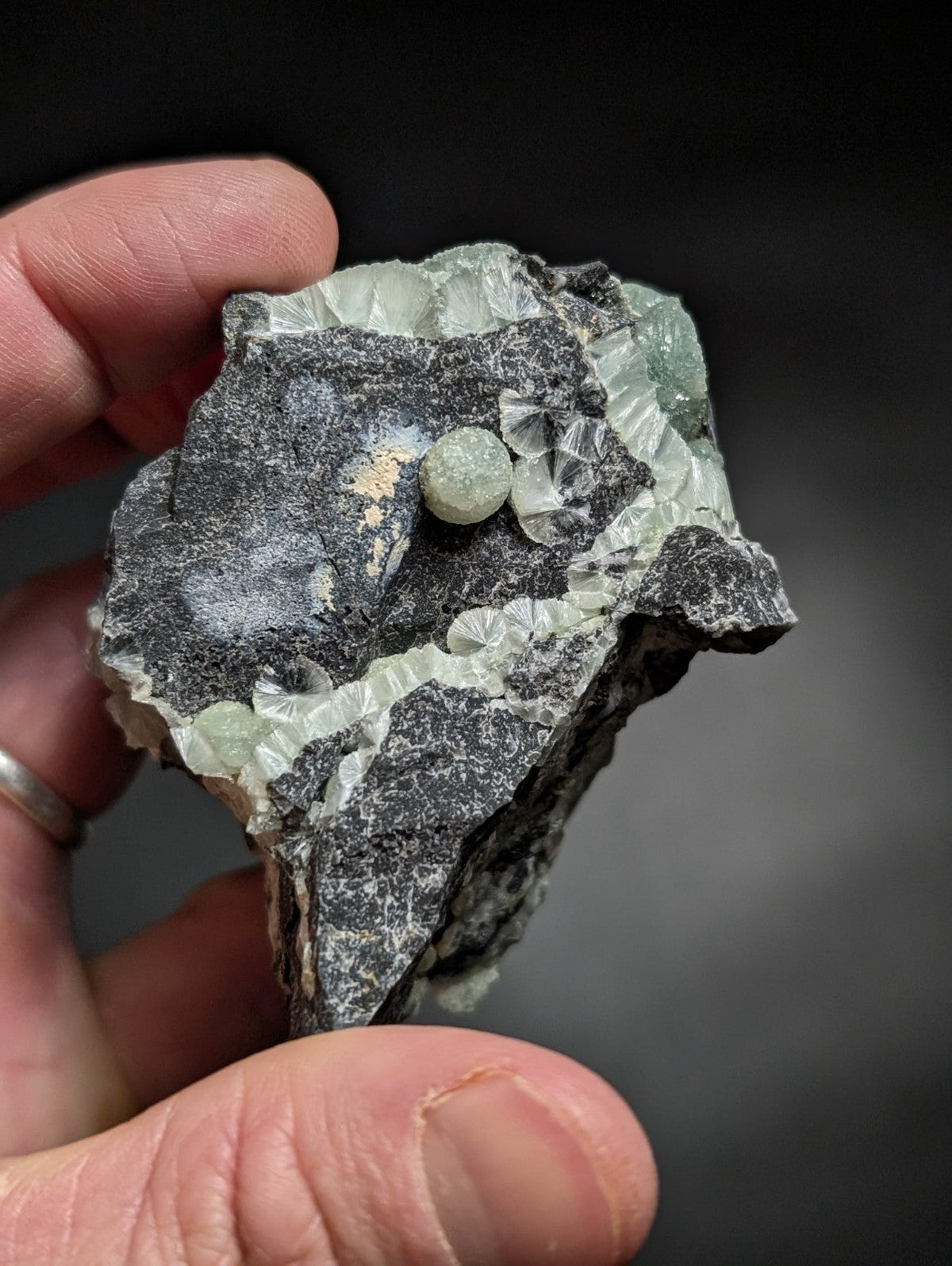 A hand holds a dark gray rock specimen featuring translucent, pale green quartz crystals and embedded spherical gemstones.