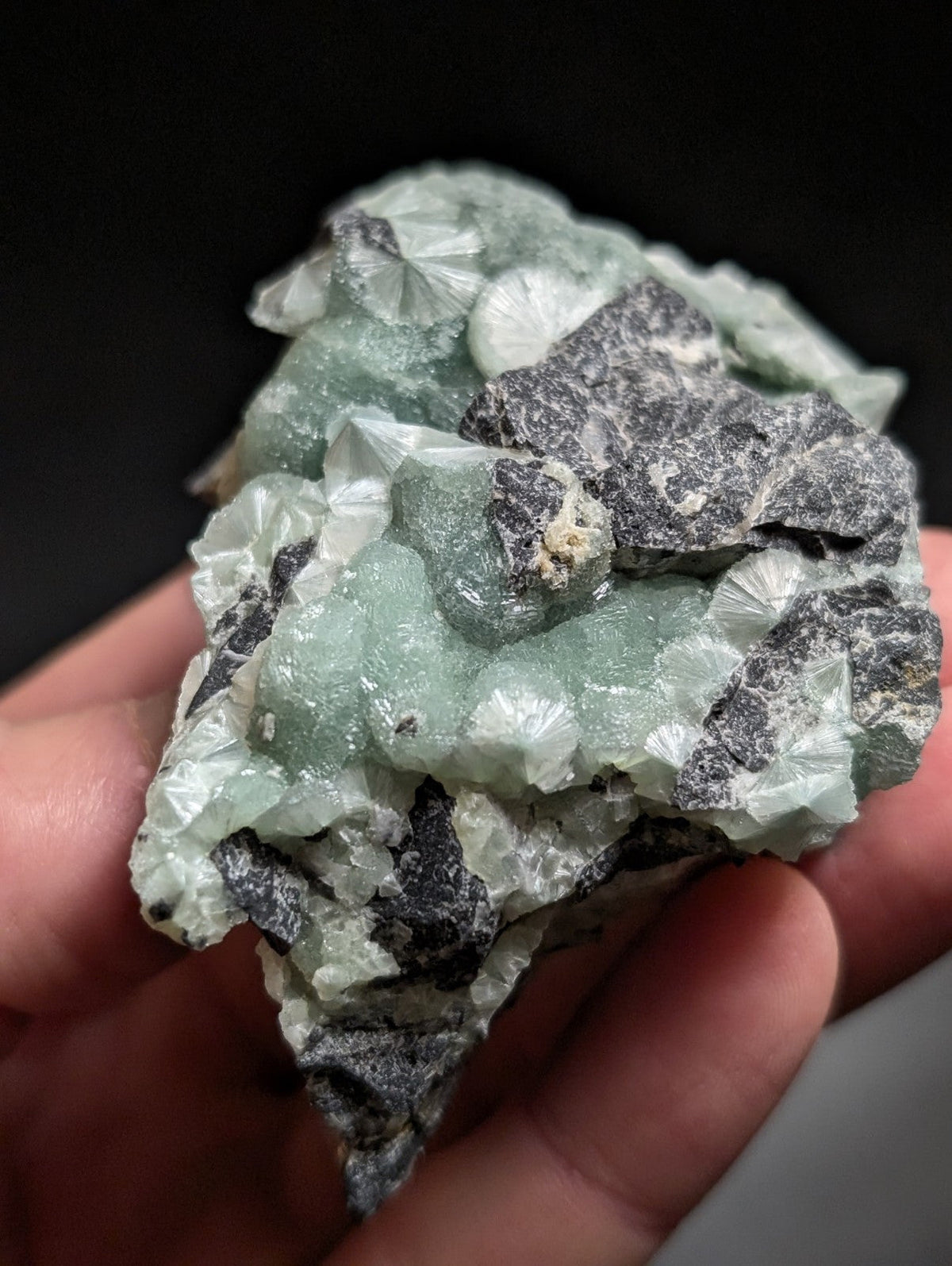 A hand holds a specimen of greenish-blue fluorite crystals growing on dark gray rock.