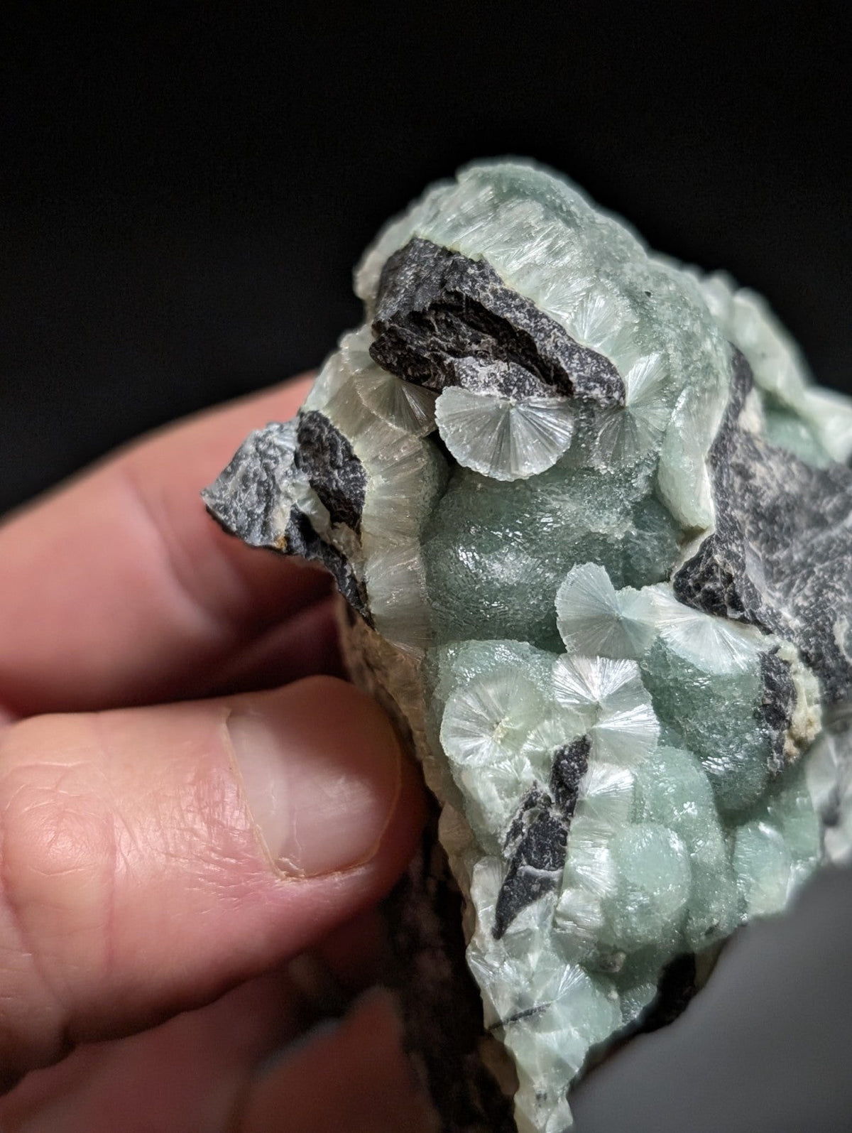 A hand holds a specimen of greenish translucent calcite crystals with delicate, fan-shaped formations embedded in dark gray matrix rock.