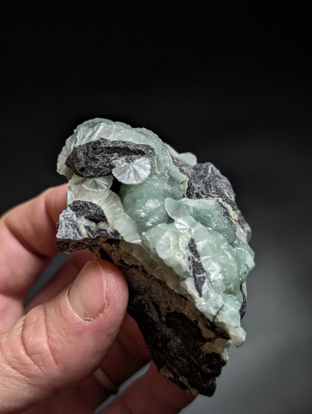 A translucent light green jade specimen with intricate, carved mushroom-like formations nestled within a dark gray matrix.