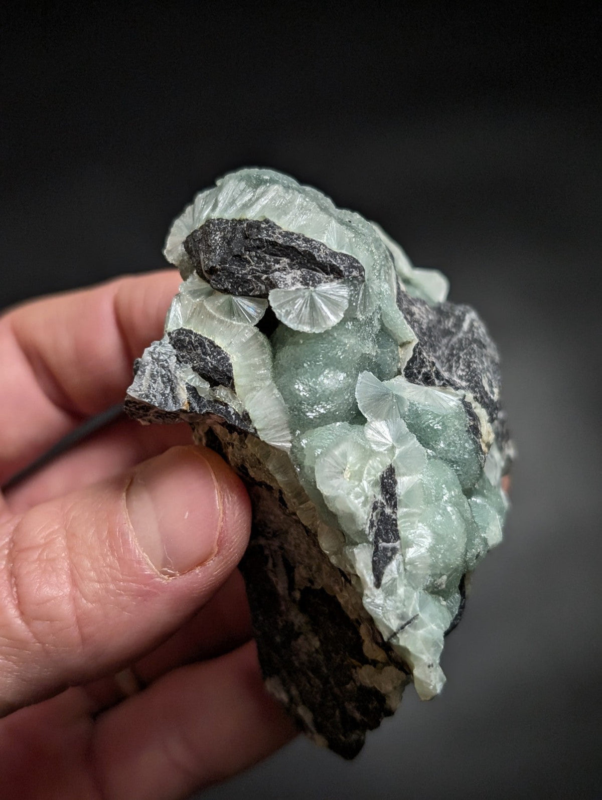 A hand holds a translucent light green mineral specimen with delicate, fan-shaped crystals growing from dark gray rock.
