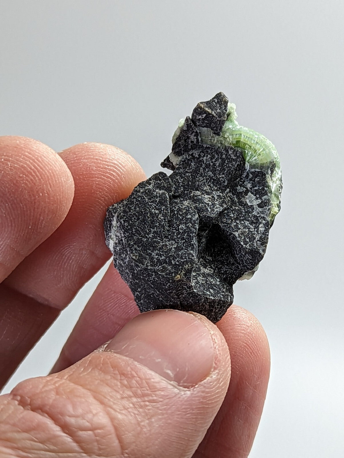 A rough, dark gray rock with a vibrant green mineral formation protruding from its surface.