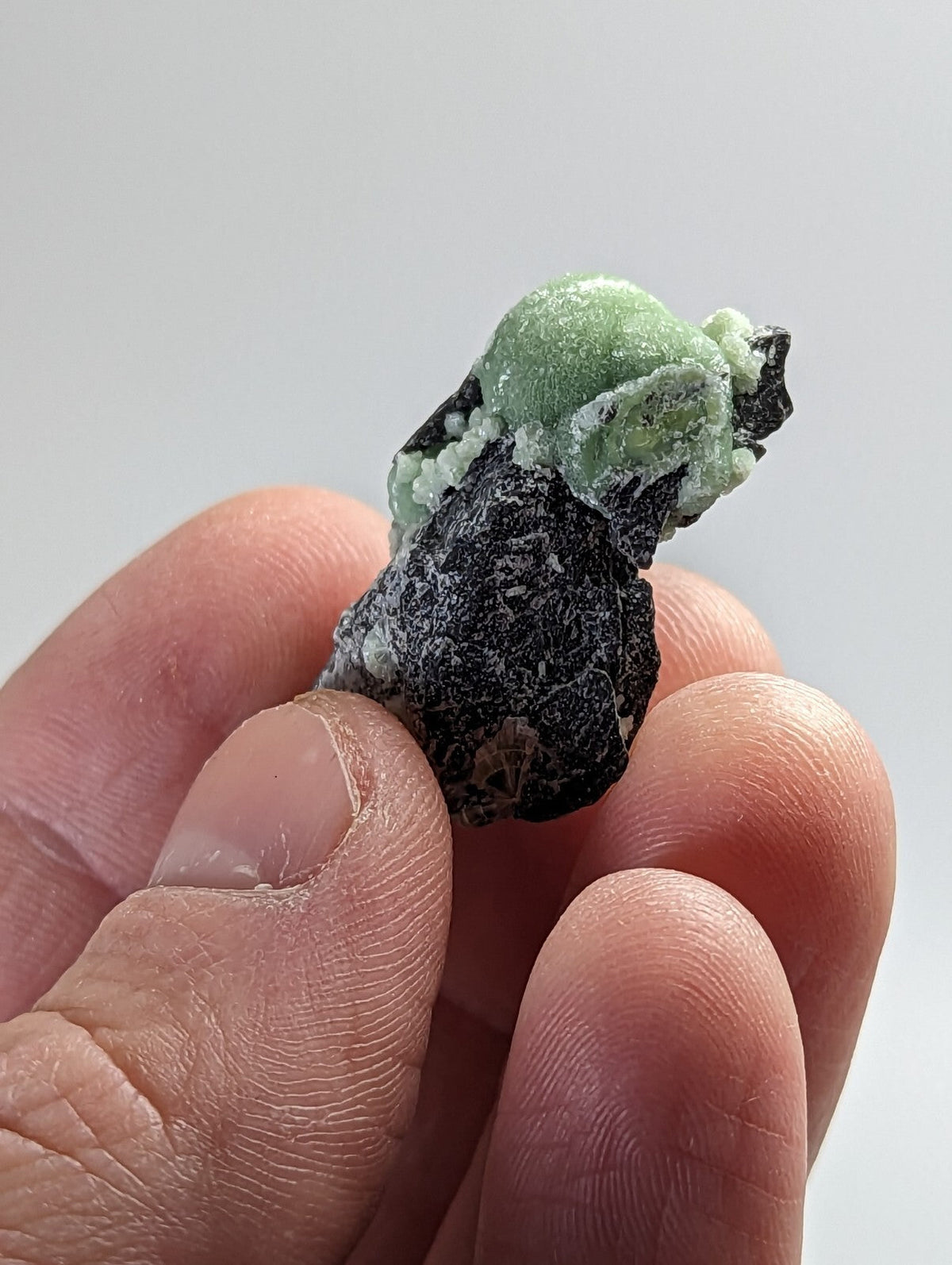 A hand holds a mineral specimen featuring a vibrant green, rounded crystal growth emerging from a dark, rough-textured matrix.