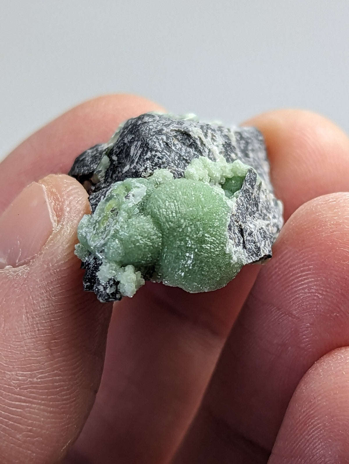 A vibrant green, textured mineral specimen with a rough, dark gray matrix.