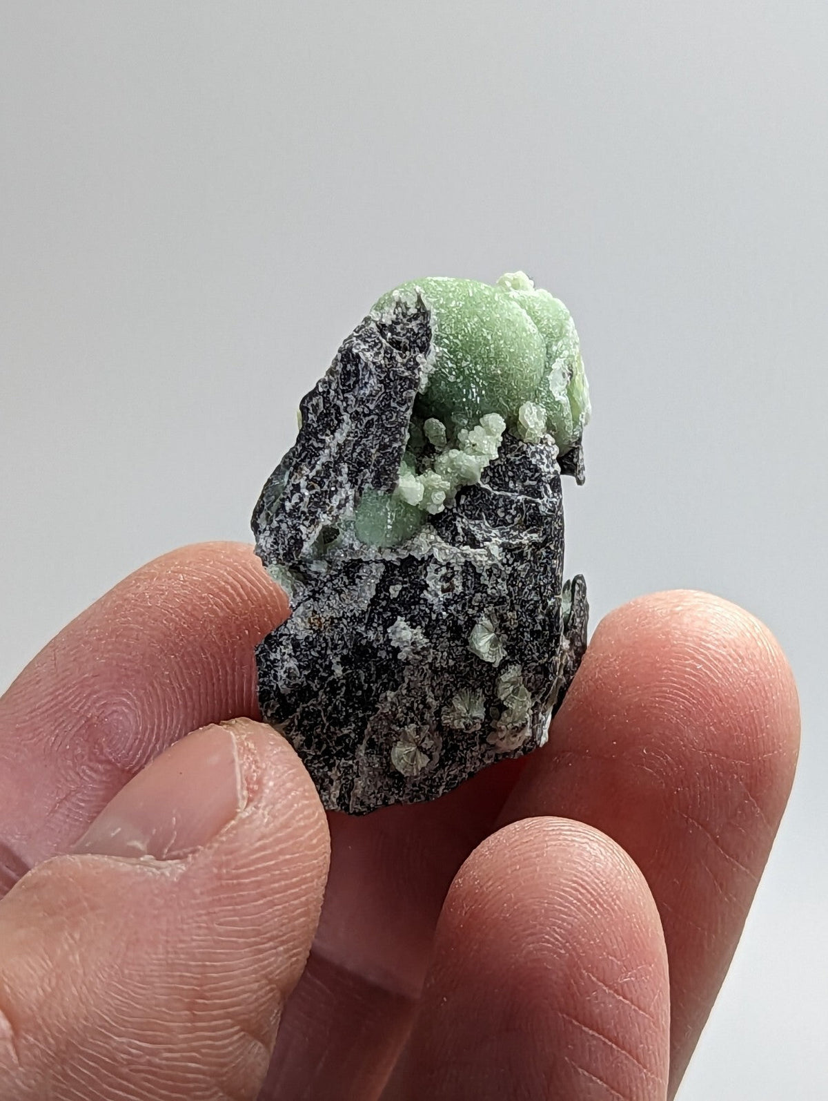 A hand holds a dark, speckled mineral specimen with vibrant green crystalline formations emerging from its surface.