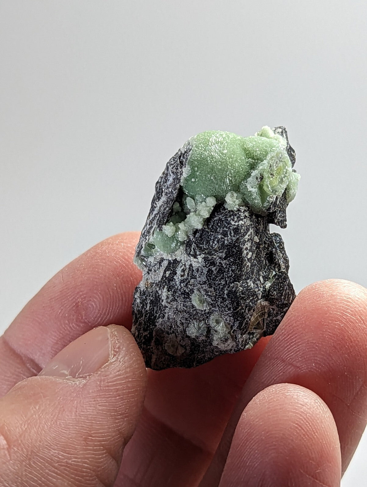 A hand holds a dark, rough-textured rock with vibrant green mineral formations growing from its surface.