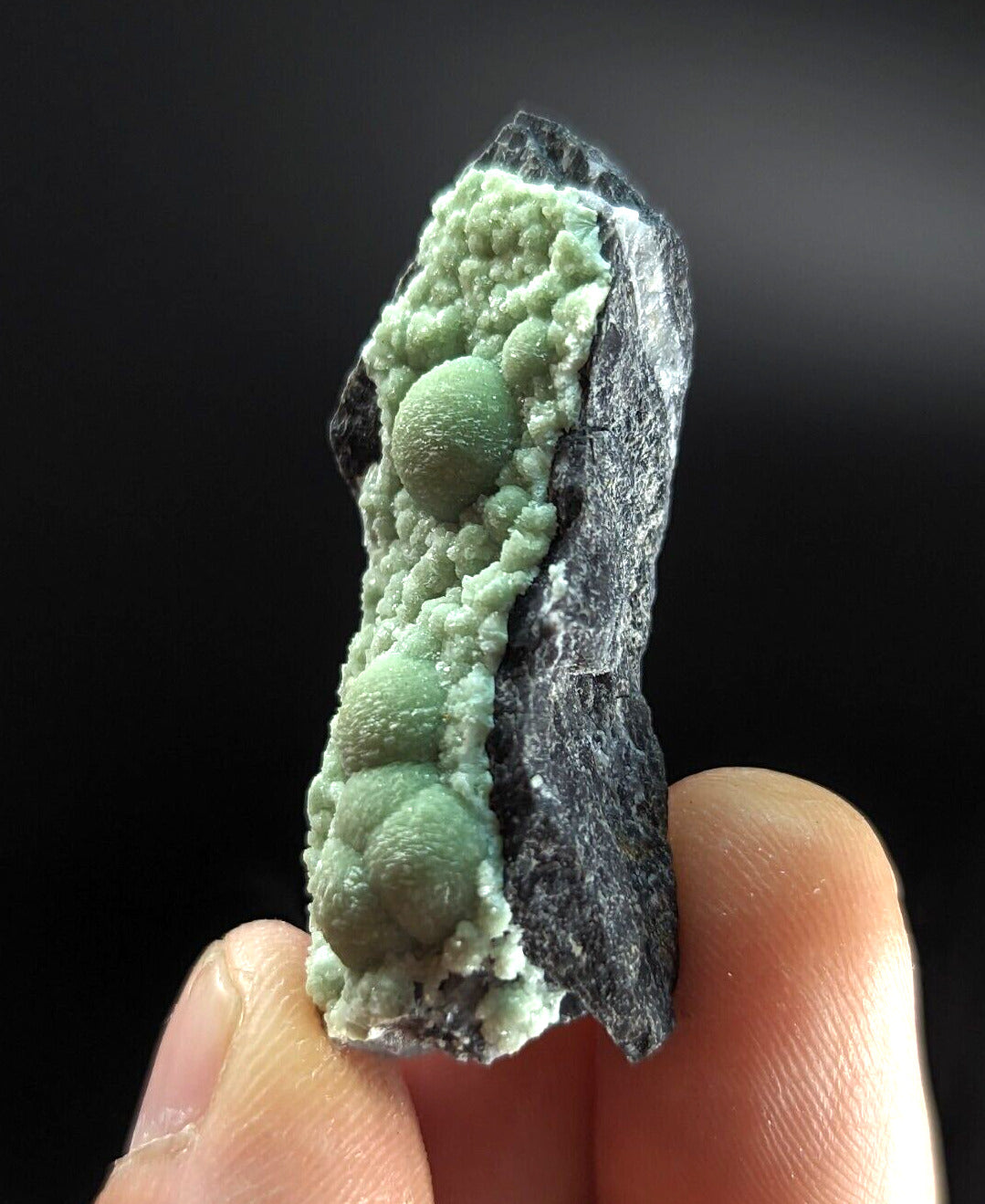 Wavellite ’Peas in a Pod’ - Fantastic Old Stock - Mauldin Mountain Arkansas - Collectibles:Rocks Fossils &