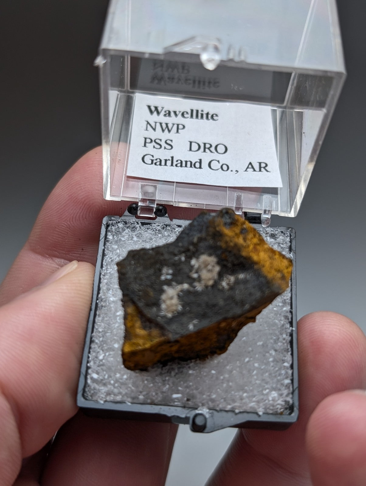 Wavelite mineral specimen with dark irregular shape and yellow white patches in a clear case from potash sulphur springs arkansas