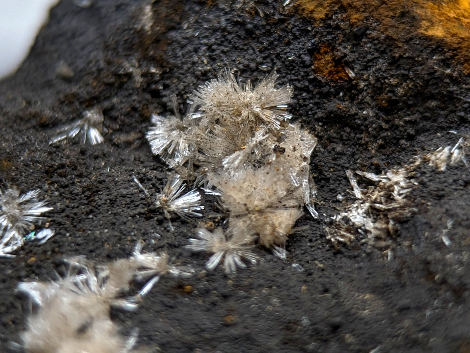 Fibrous translucent white wavellite crystals with sharp radiating points on dark rock from potash sulphur springs arkansas