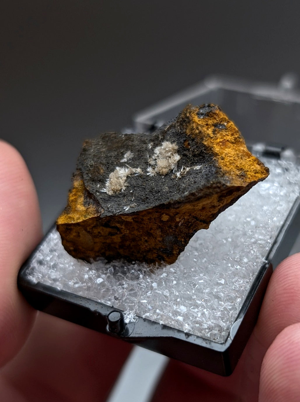 Rugged wavellite mineral with dark gray base orange yellow patches and white crystalline inclusions from potash sulphur springs arkansas