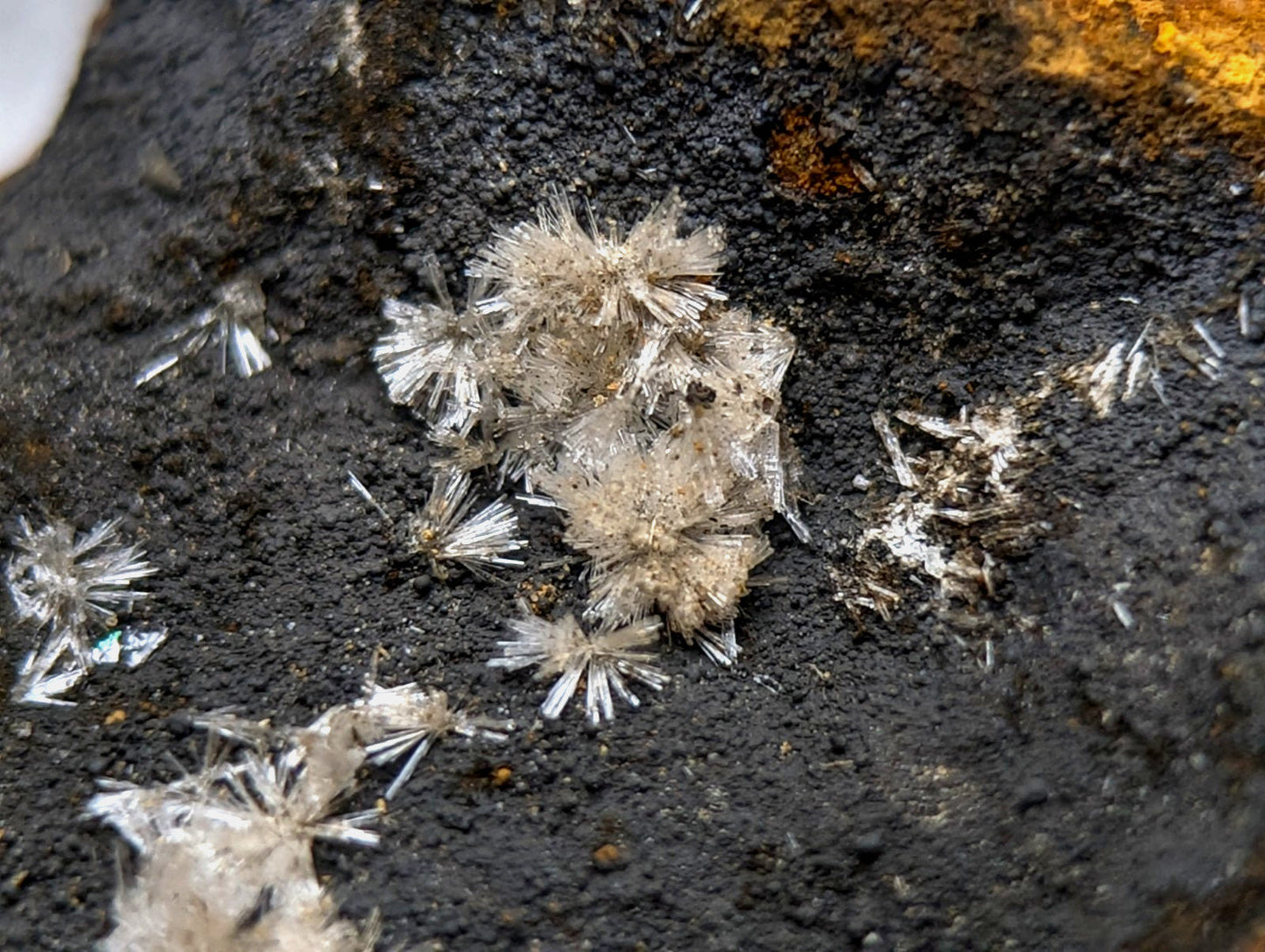 Wavellite cluster of radiant white needle-like crystals on dark textured mineral from Potash Sulphur Springs Arkansas