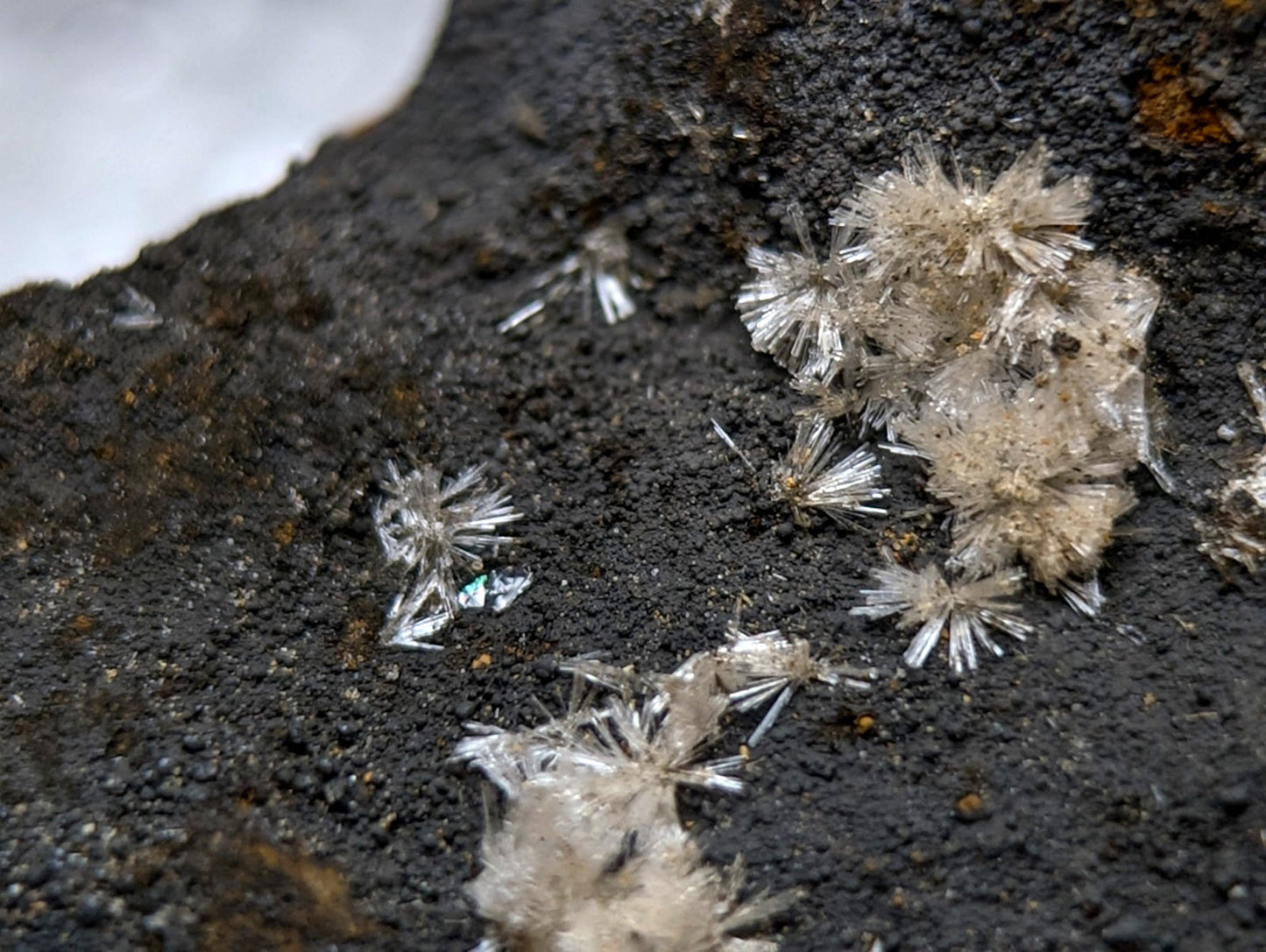 Transparent star-shaped wavellite crystal formations with needle-like facets on dark rock from Garland County Arkansas