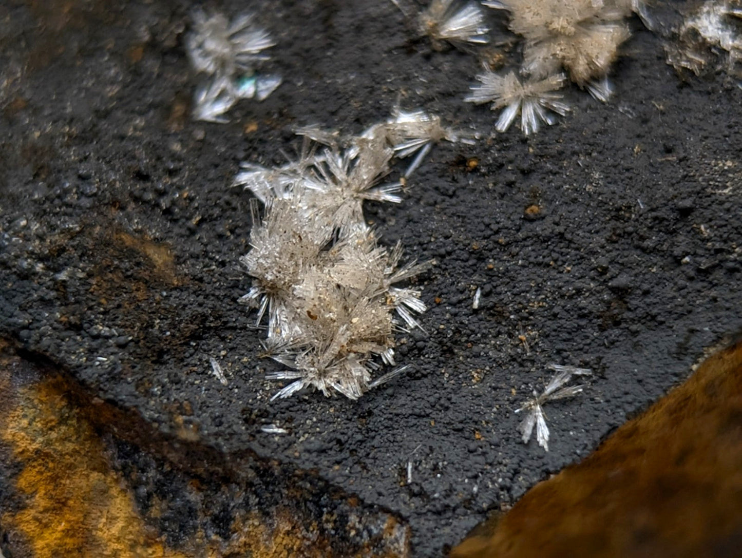 Wavellite clusters with frosty white crystalline fluff on a dark textured surface from Potash Sulphur Springs Arkansas