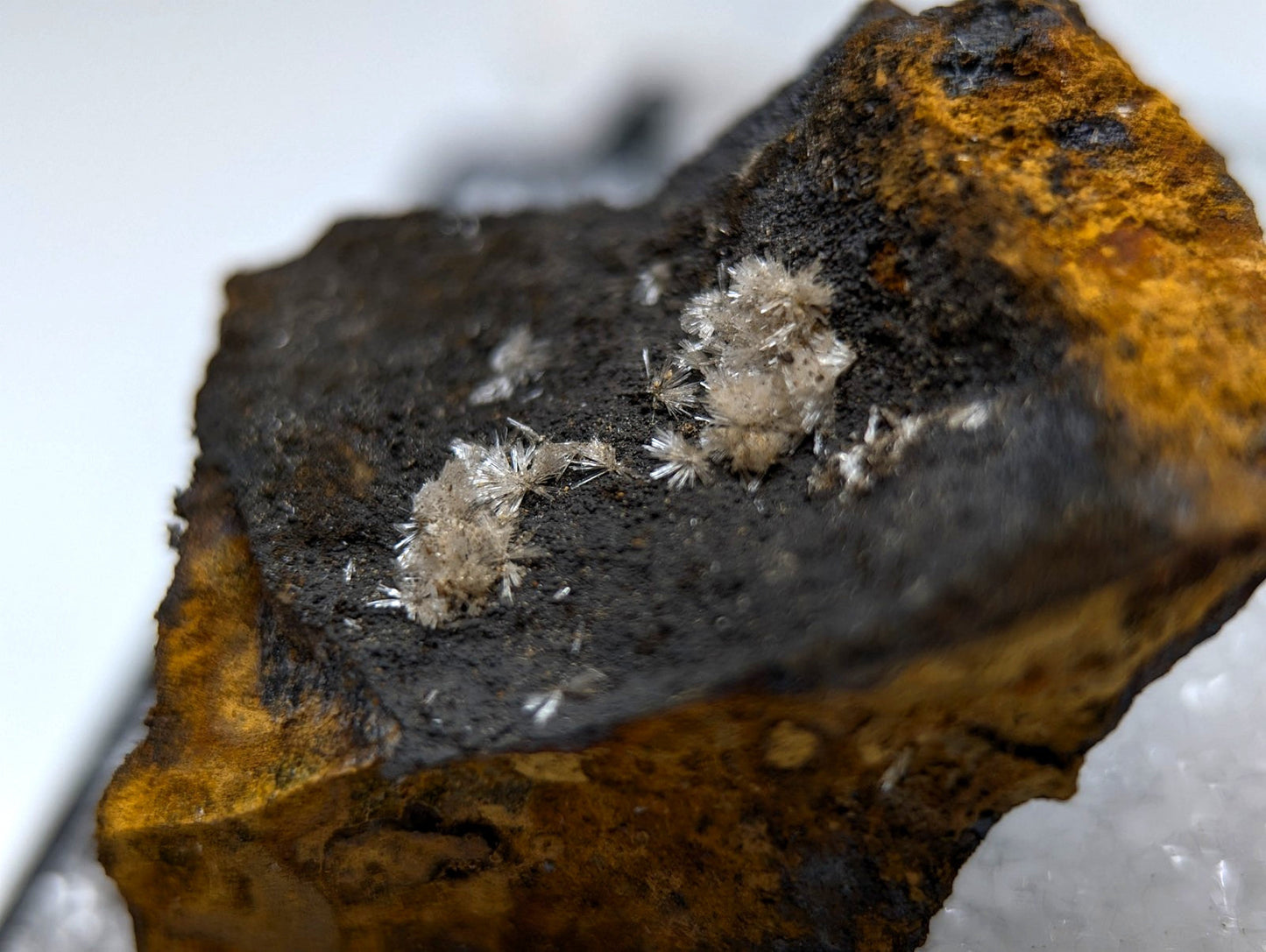 Wavellite mineral specimen from Potash Sulphur Springs with dark brown orange matrix and delicate white crystals rare Garland County Arkansas