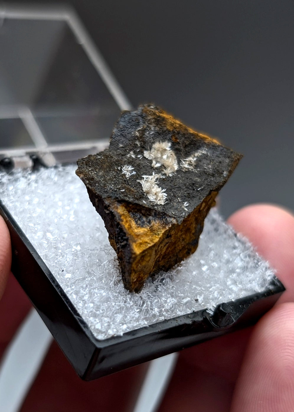 Wavellite mineral specimen from Potash Sulphur Springs Arkansas with dark base orange-yellow patches and white crystals