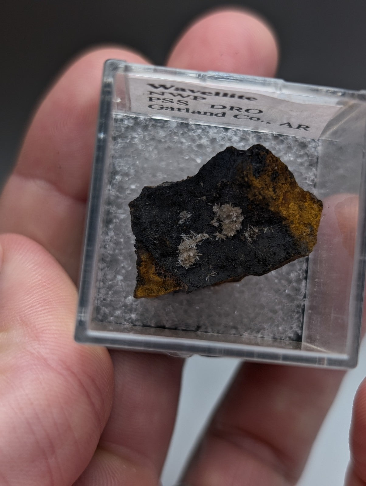Wavellite mineral specimen with golden yellow and gray crystals in clear display case from sulfur springs arkansas rare