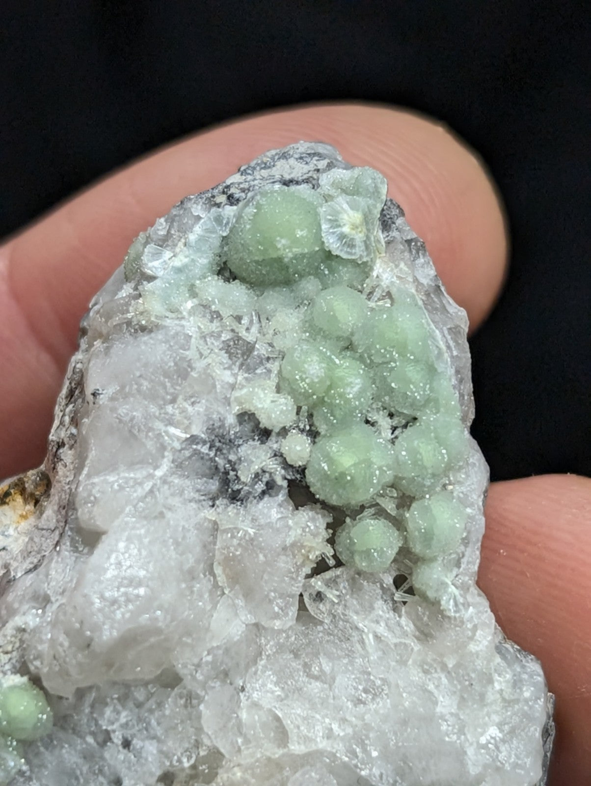 A cluster of translucent, pale green spherical crystals nestled within a rough, white crystalline matrix.