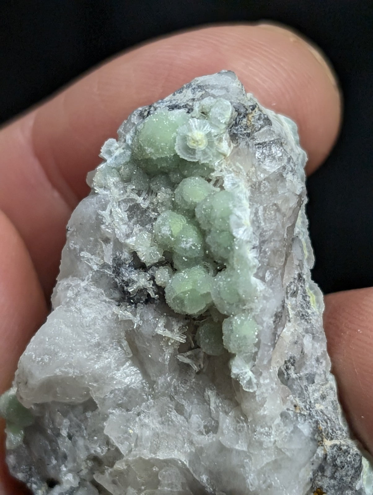 A cluster of translucent green mineral crystals growing from a gray, crystalline rock matrix.