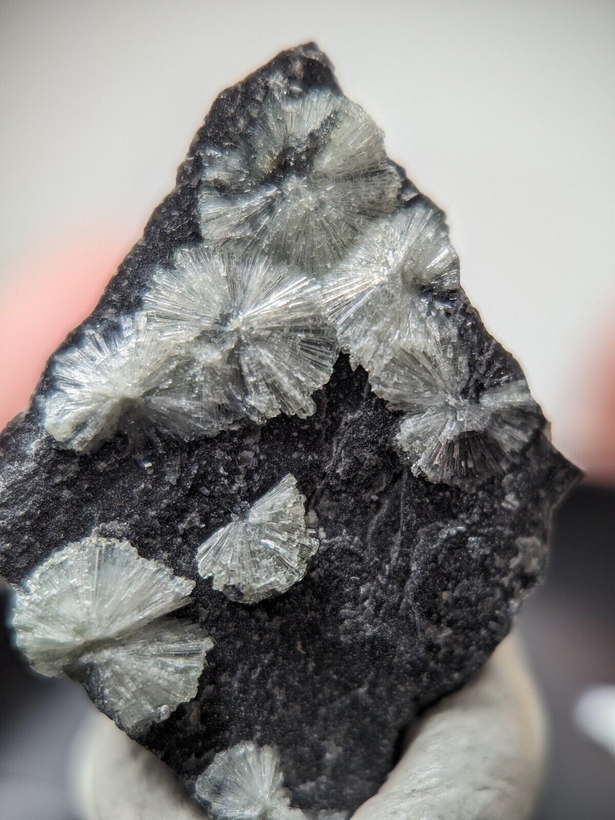 Wavellite + Quartz + Brookite Cluster - Set of 3 w/ case - Old Stock - Arkansas - Collectibles:Rocks Fossils &