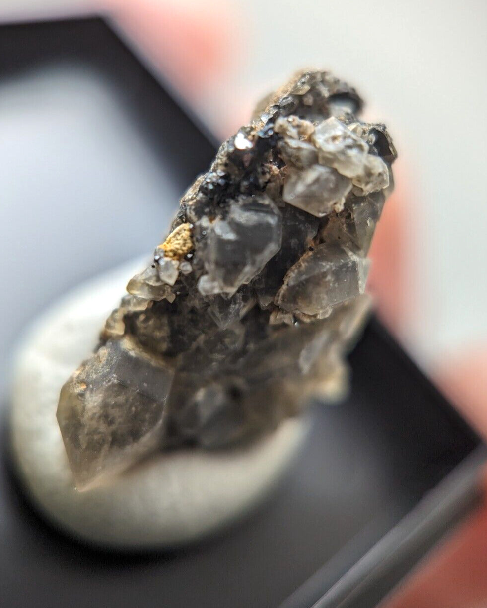 Wavellite + Quartz + Brookite Cluster - Set of 3 w/ case - Old Stock - Arkansas - Collectibles:Rocks Fossils &