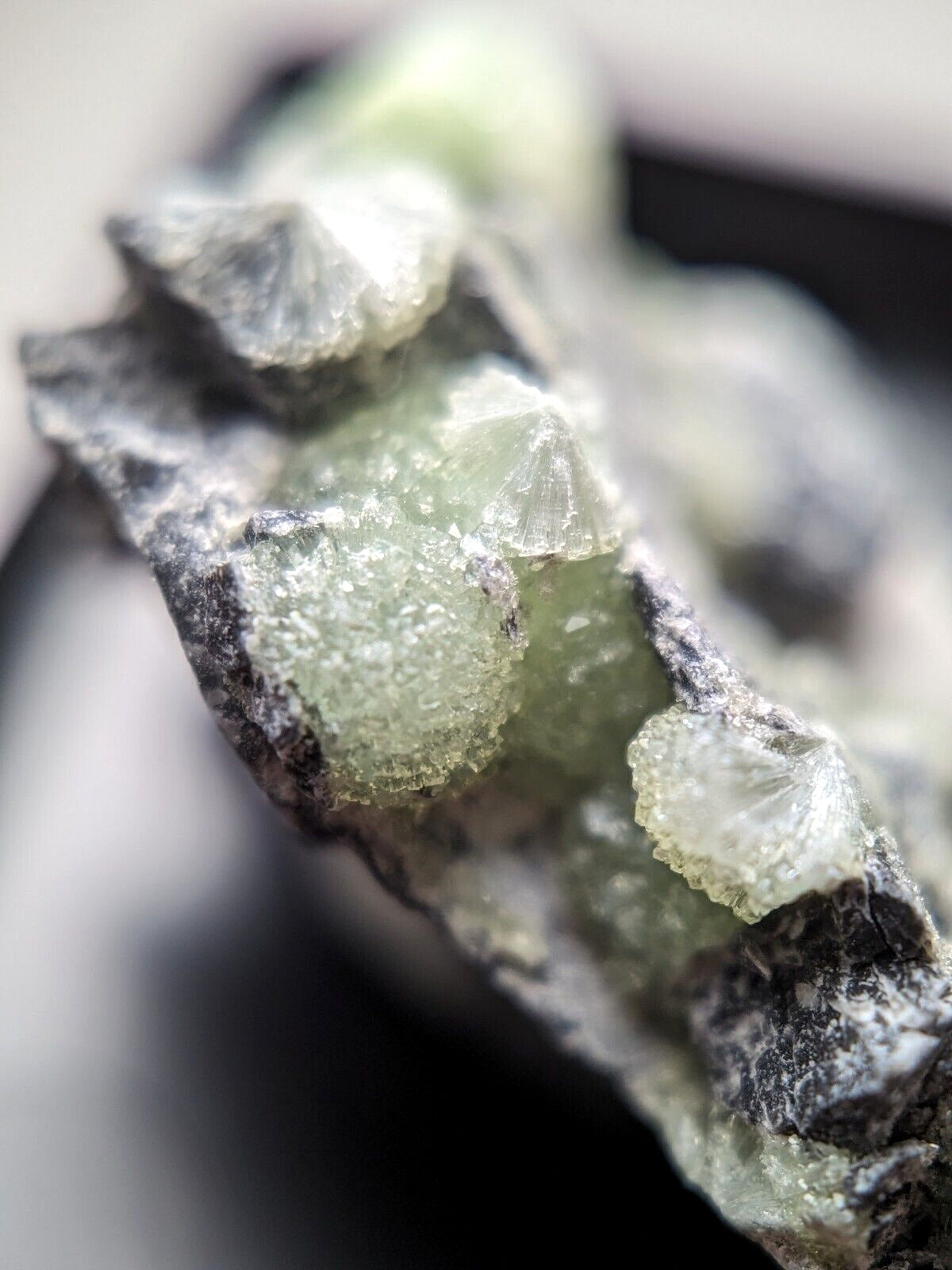 Wavellite + Quartz + Brookite Cluster - Set of 3 w/ case - Old Stock - Arkansas - Collectibles:Rocks Fossils &