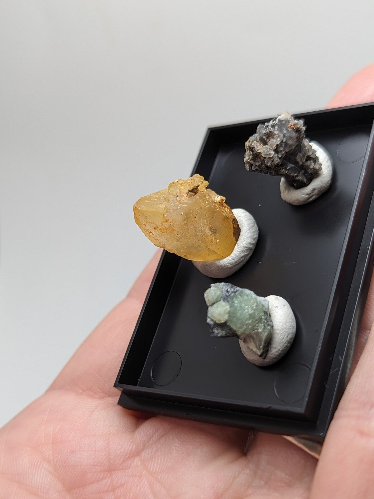 Black display tray holding three mineral specimens mounted on white circular bases.