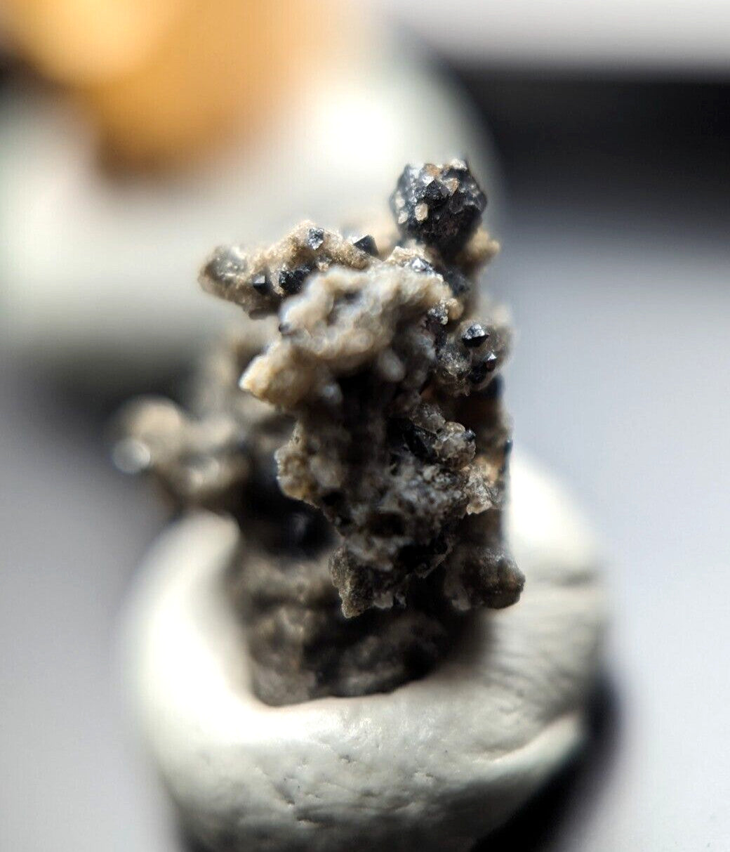 A dark, textured mineral specimen with black and gray crystalline formations mounted in a white ceramic holder.