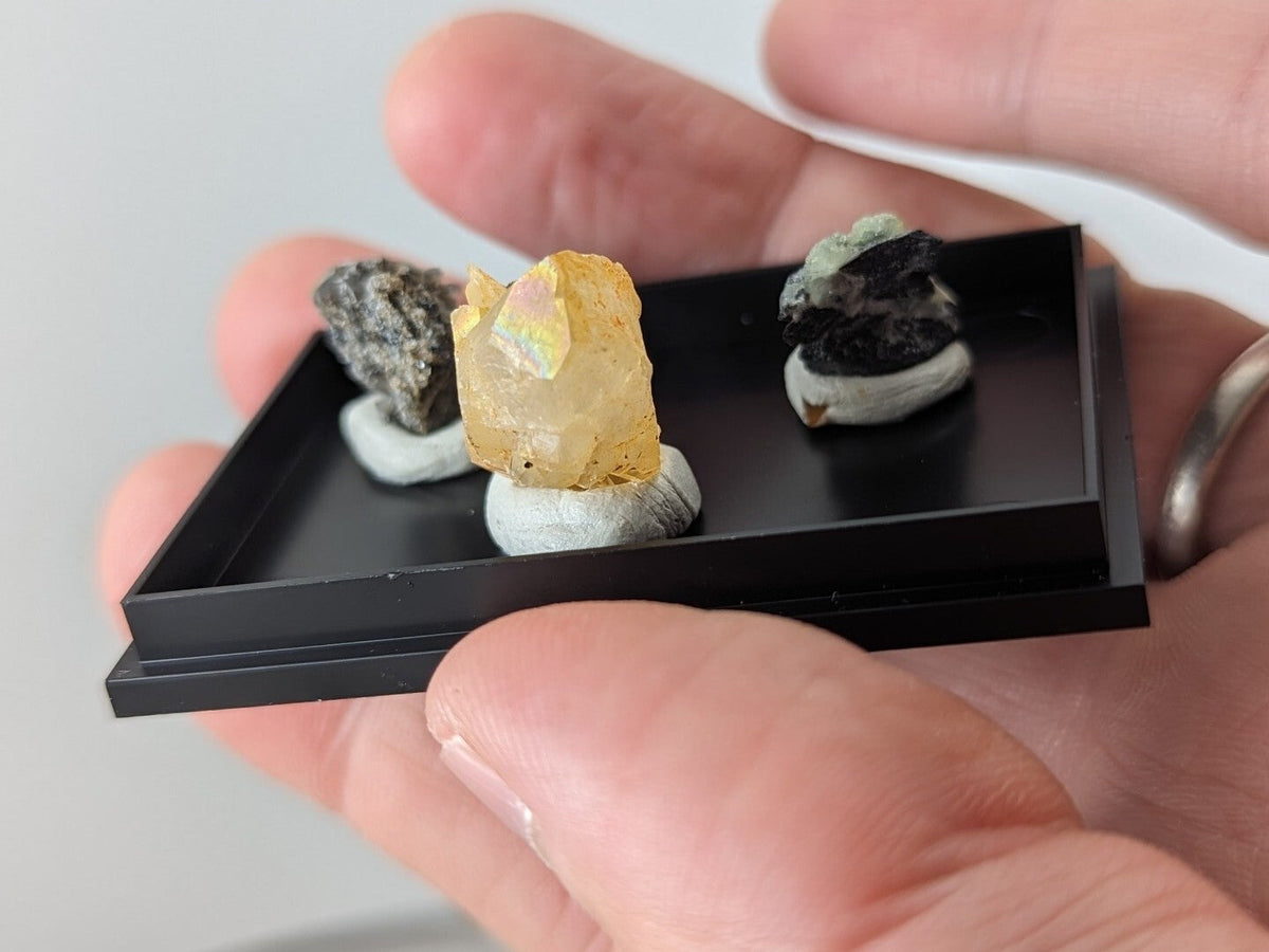 Black display tray holding three mineral specimens on white circular bases.