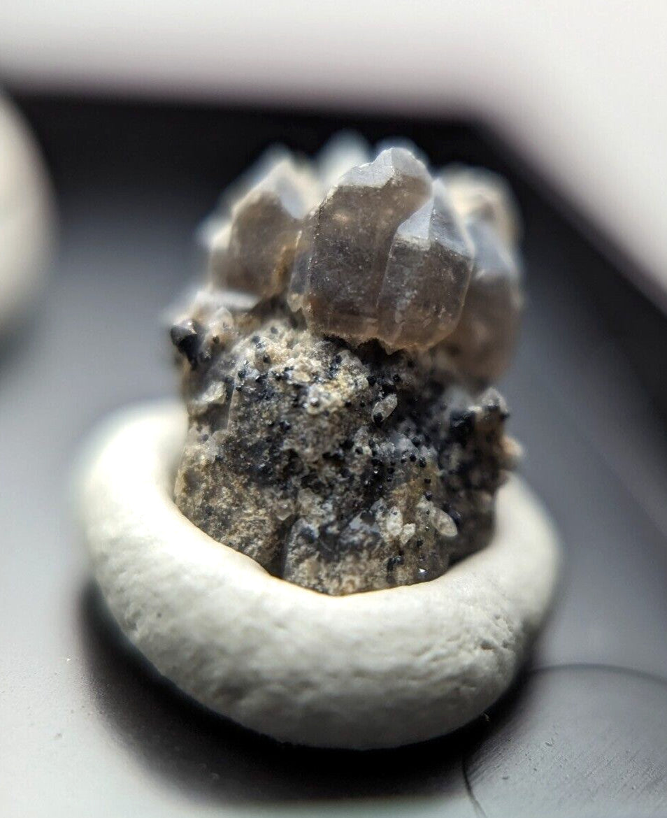 A cluster of translucent, grayish quartz crystals growing from a dark, speckled rock base and displayed in a simple white ceramic dish.