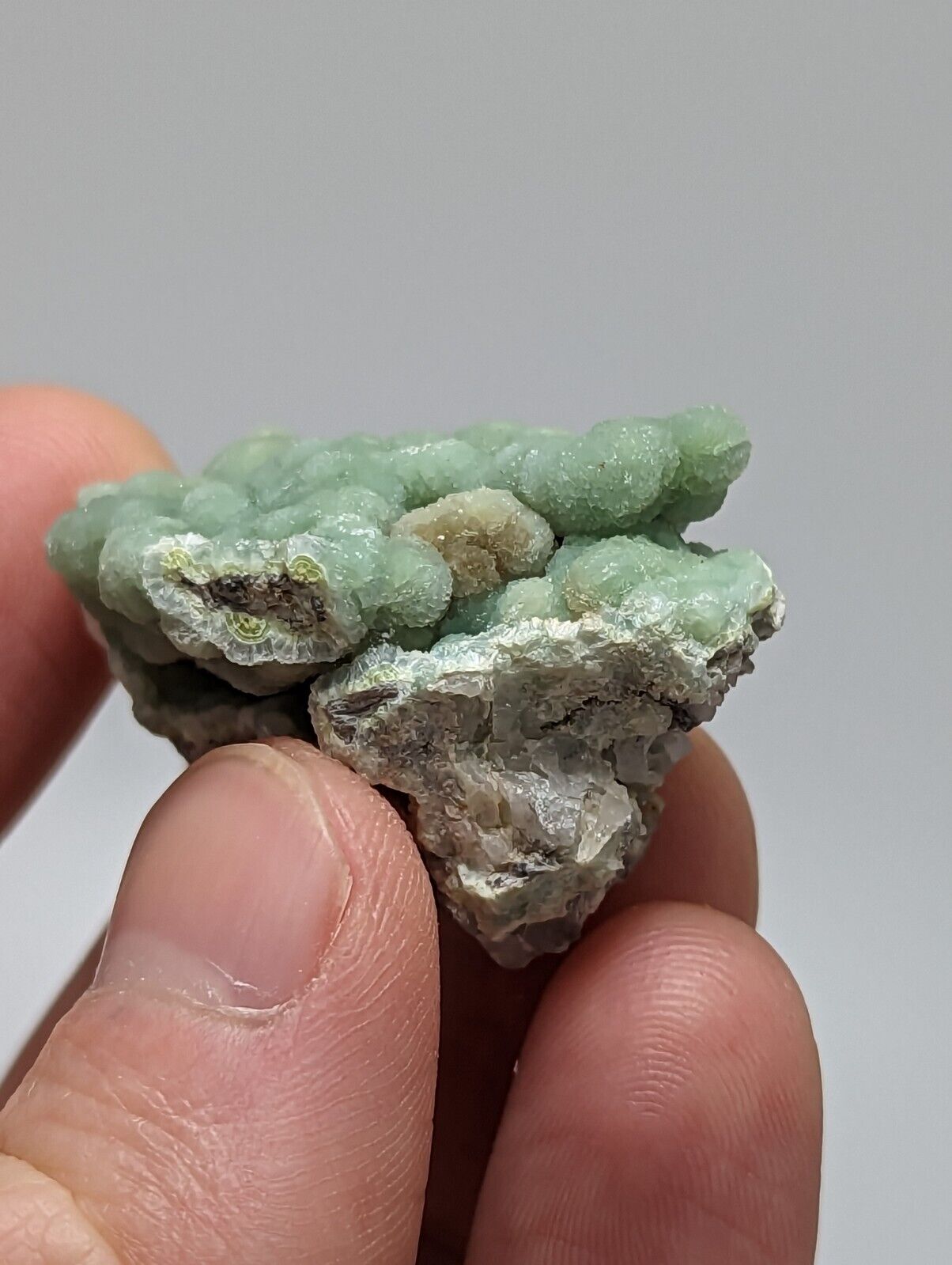 Wavellite on Quartz and Chert - Mauldin Mountain Montgomery County Arkansas - Collectibles:Rocks Fossils &