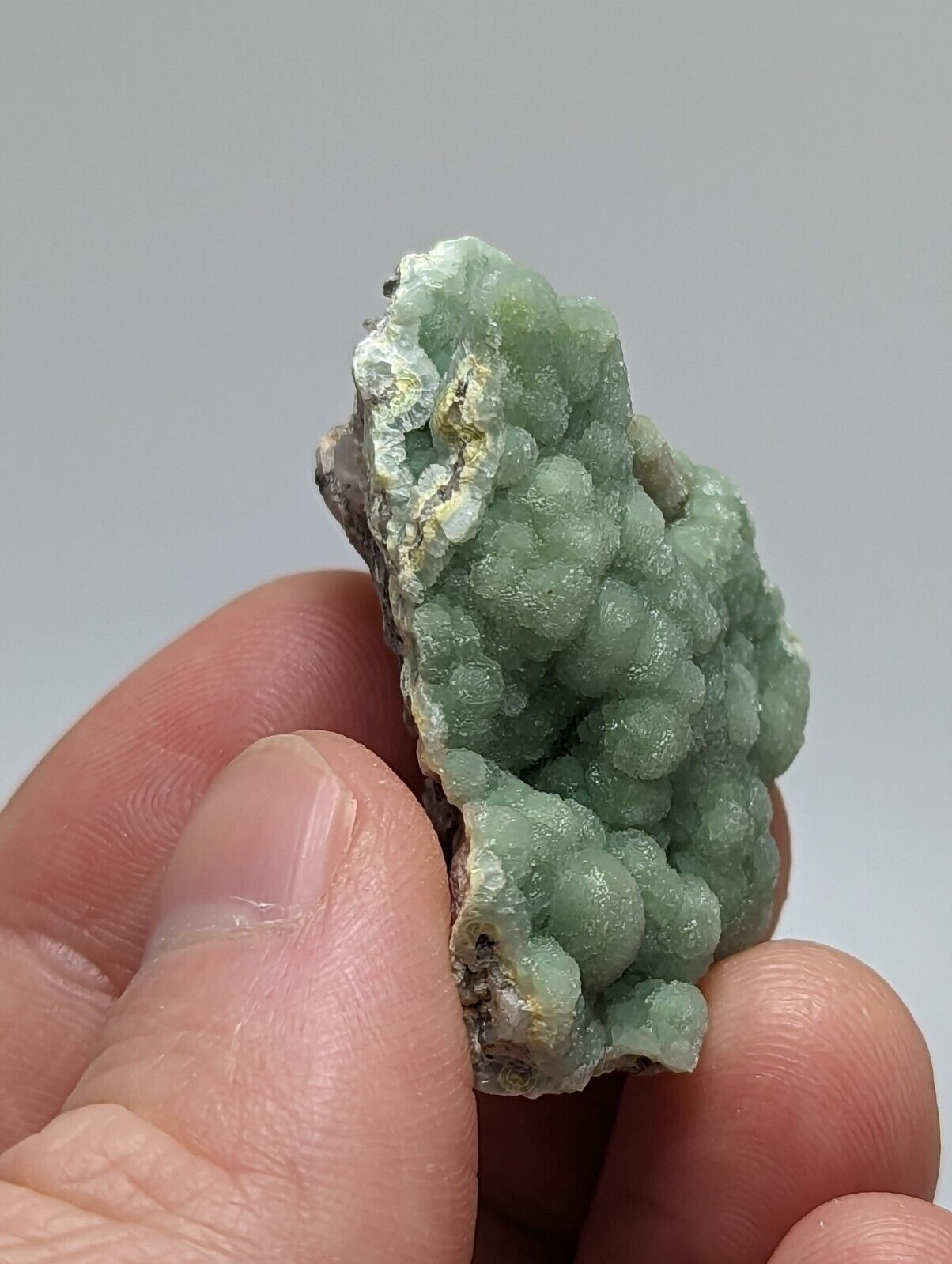 Wavellite on Quartz and Chert - Mauldin Mountain Montgomery County Arkansas - Collectibles:Rocks Fossils &