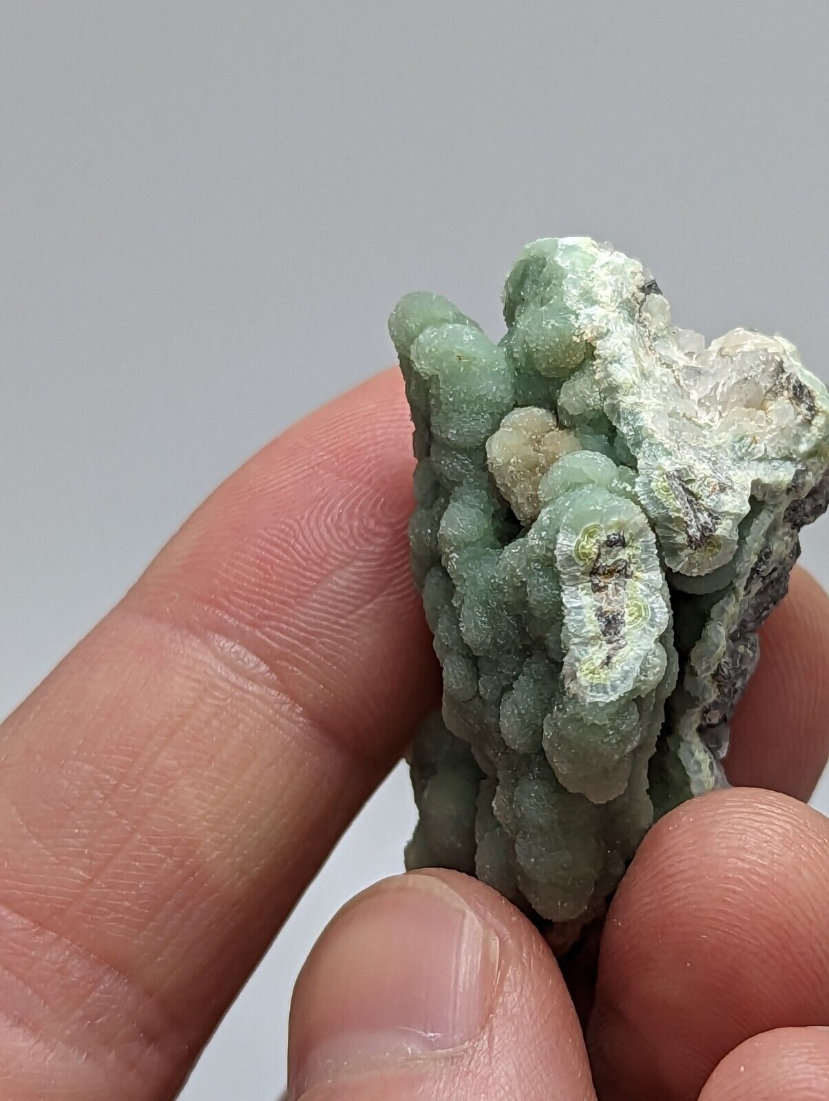 Wavellite on Quartz and Chert - Mauldin Mountain Montgomery County Arkansas - Collectibles:Rocks Fossils &