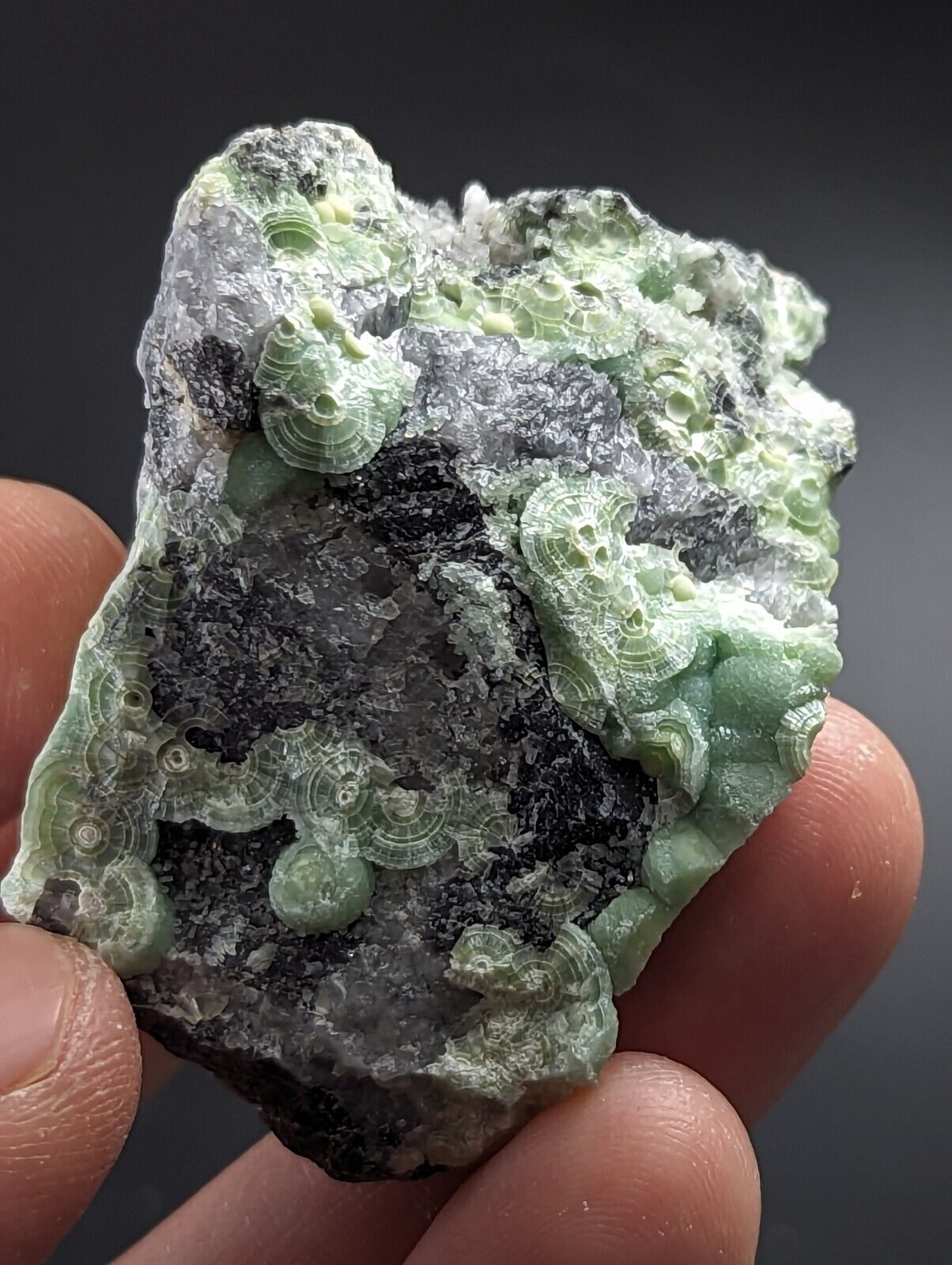 Wavellite on Quartz - Excellent Crystallization - Mauldin Mountain Arkansas - Collectibles:Rocks Fossils &