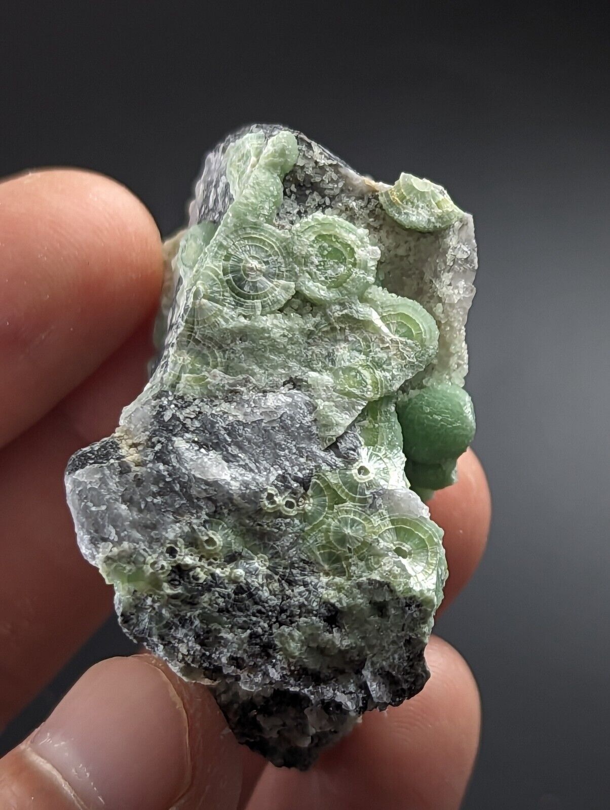Wavellite on Quartz - Excellent Crystallization - Mauldin Mountain Arkansas - Collectibles:Rocks Fossils &